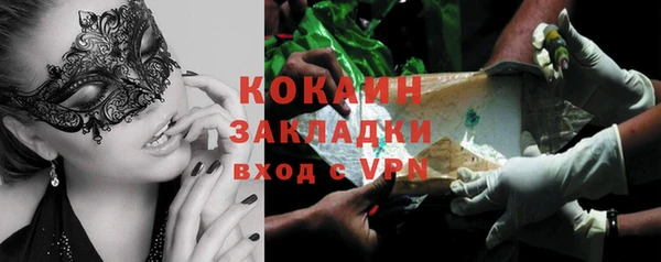 сатива Белокуриха