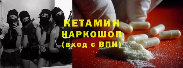 сатива Белокуриха