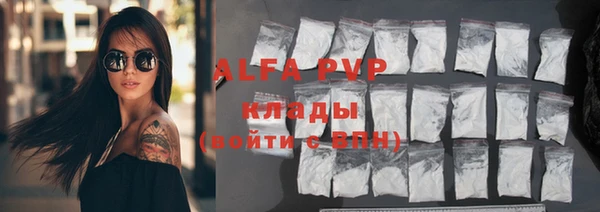 сатива Белокуриха