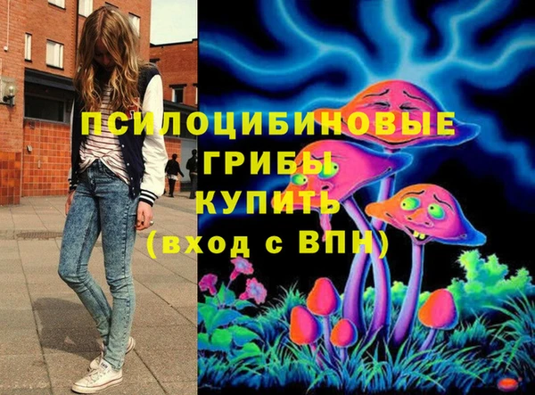 сатива Белокуриха