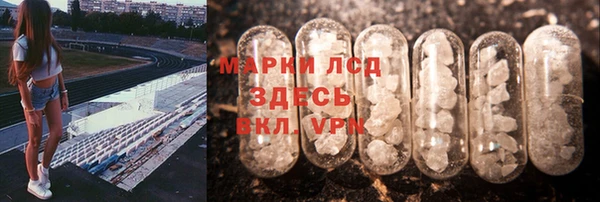 сатива Белокуриха