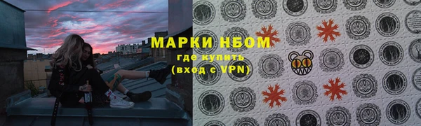 сатива Белокуриха