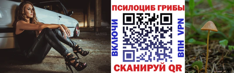 Галлюциногенные грибы мицелий  Купить  Алексин 
